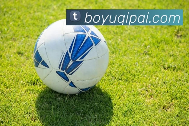 博鱼棋牌APP 封面图